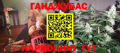 индика Будённовск