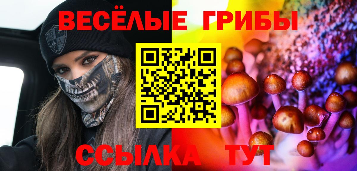 Псилоцибиновые грибы Psilocybe  Вход с VPN  Кулебаки  Псилоцибиновые грибы GOLDEN TEACHER 