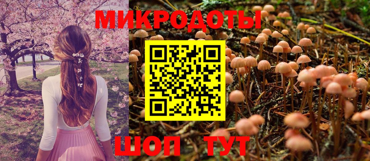 Псилоцибиновые грибы GOLDEN TEACHER Кулебаки